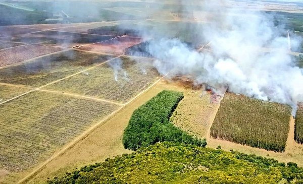Firefighters declared the fire in Algorta extinguished