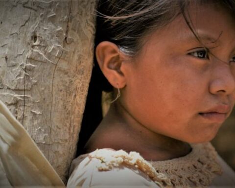 Food safety: the year closes with improvements but there are still challenges