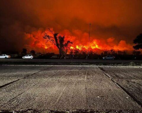 Forest fires in 9 Argentine provinces, SNMF recommendations