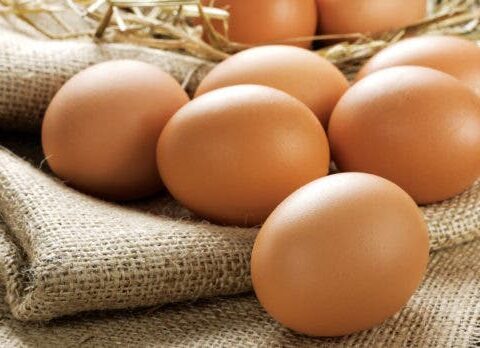 Gobierno levanta restricción de exportación de huevos