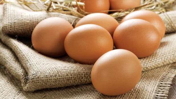 Gobierno levanta restricción de exportación de huevos