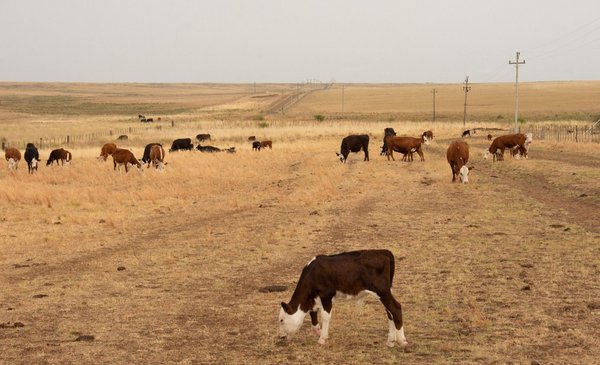 Government will meet Monday and Tuesday due to the impact of the drought and to extend the agricultural emergency