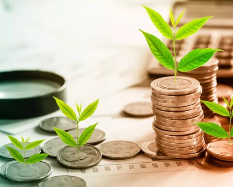 Green taxes: what they are and what Mexico is doing