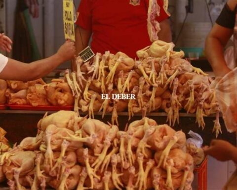 Guaranteed supply of chicken and eggs, despite outbreak of avian flu in Cochabamba