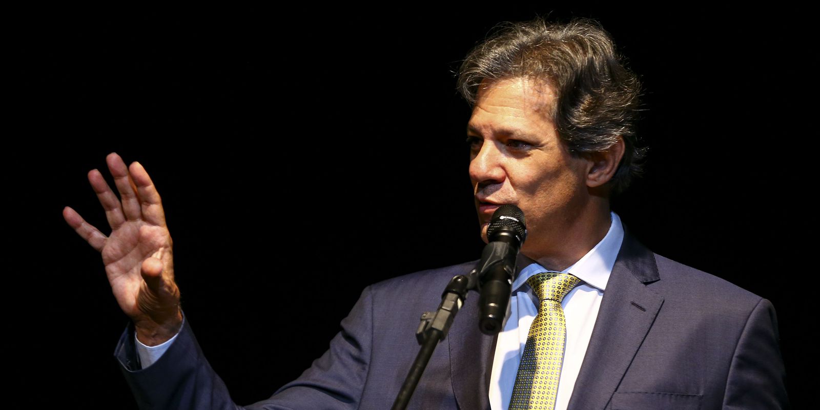 Haddad will announce first economic measures next week