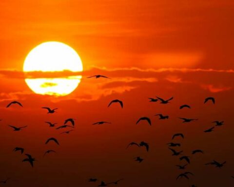 How the ozone layer is recovering after decades of decline