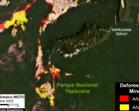 Illegal mining deepens deforestation in Yapacana Park, environmentalists denounce