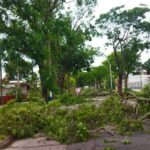 Inumet explained what was the squall that caused damage in neighborhoods of Montevideo