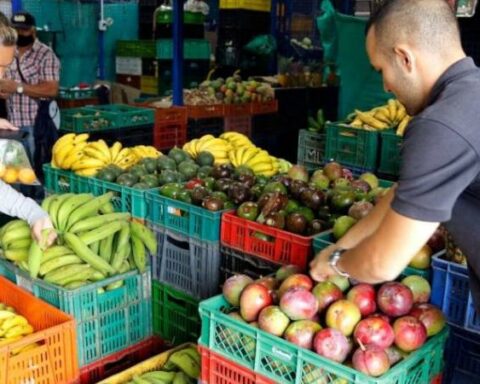 Is it viable to produce bio-inputs in the country?