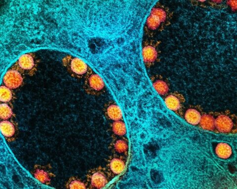 Is the coronavirus a living being?