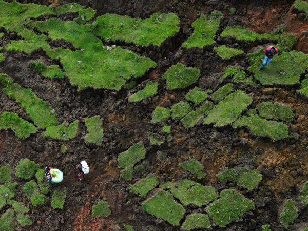 Isolation of Nariño mainly hits agriculture in the region