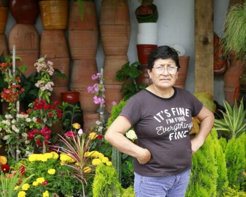 Luisa Macavilca: "A fire will not collapse me, I will continue with my flower business"