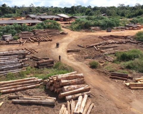 MPF reiterates request for withdrawal of invaders from indigenous lands