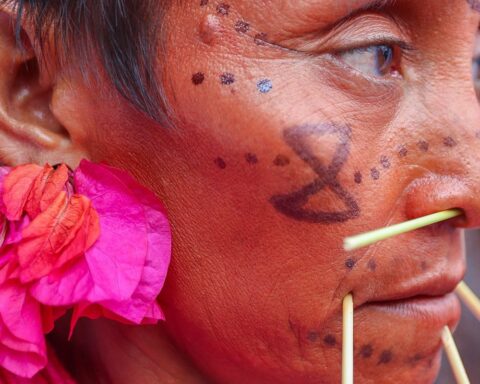 MPF says the situation of the Yanomami was caused by State omission