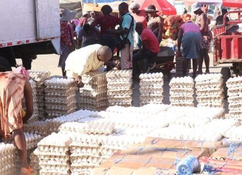 Comerciantes aceleraron la venta de huevos en la frontera