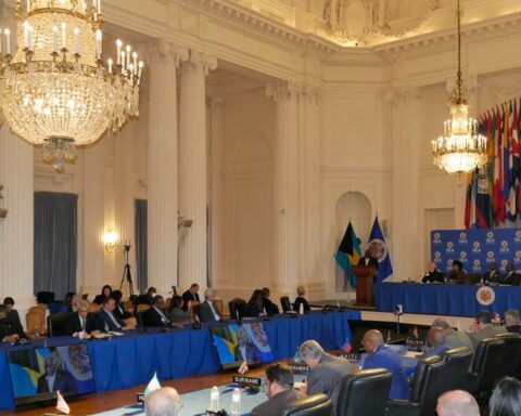 Mexico and Brazil plead for Pedro Castillo at the OAS council