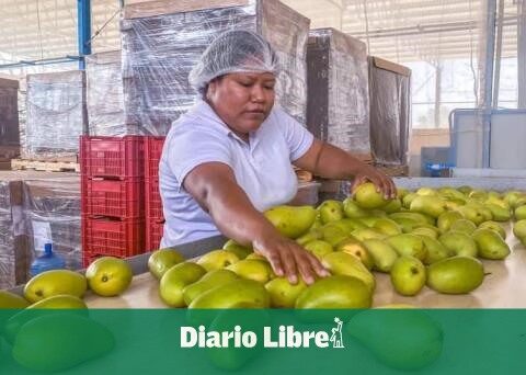 Mexico, number five in the world in mango production