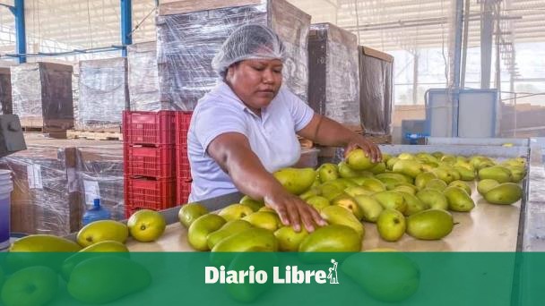 Mexico, number five in the world in mango production