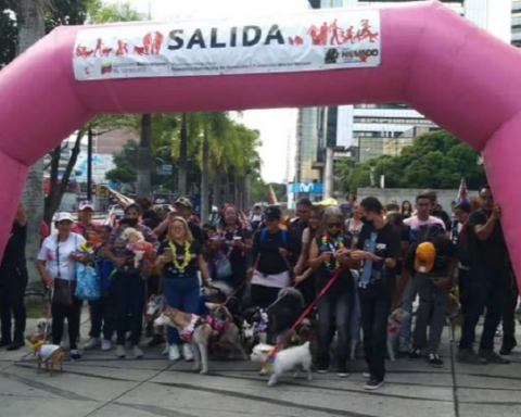 Misión Nevado celebrates its ninth anniversary with a walk for pets