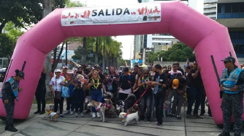 Misión Nevado celebrates its ninth anniversary with a walk for pets