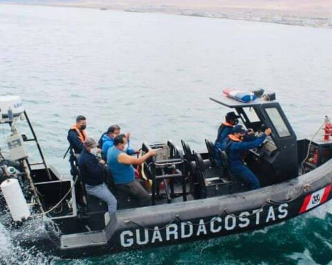 Moquegua: Venomous stingray attacks boat crew member in Ilo