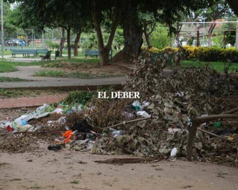 Neighbors denounce neglect of the parks of the city of Santa Cruz