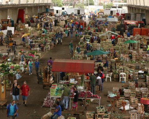 New president of Ceagesp to be announced next week