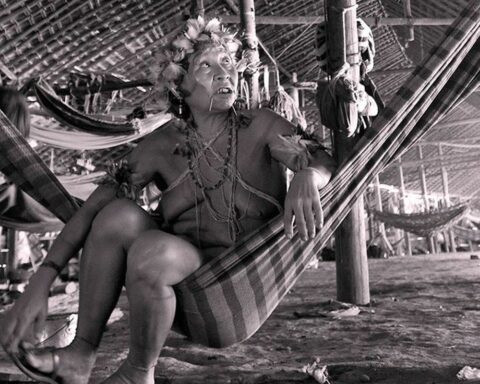 PF launches inquiry to investigate alleged genocide against Yanomami