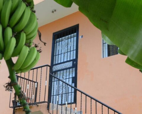 Valdez told El Nacional that when he arrived home on Tuesday he saw the two children alone on the balcony and that the last time he saw the couple was on Monday when they went down to throw out garbage.  The police still have no clues as to where the couple is.