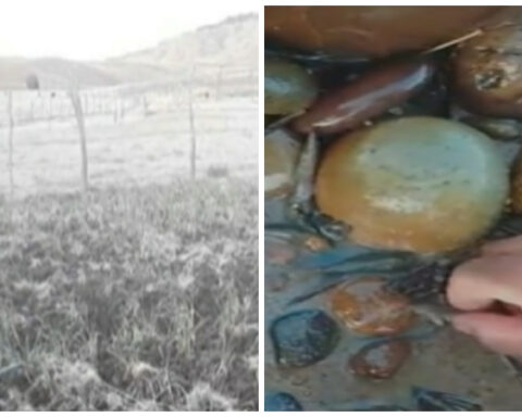 Panorama in Santander: strong frost in some municipalities, severe drought in one of its rivers