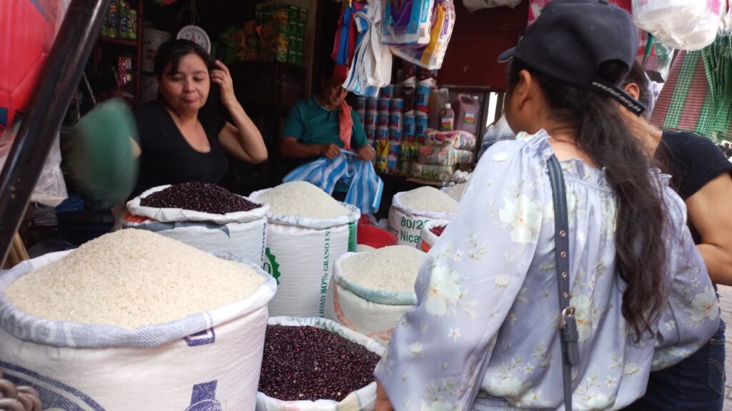 Perishables and basic grains in León, more expensive than in December