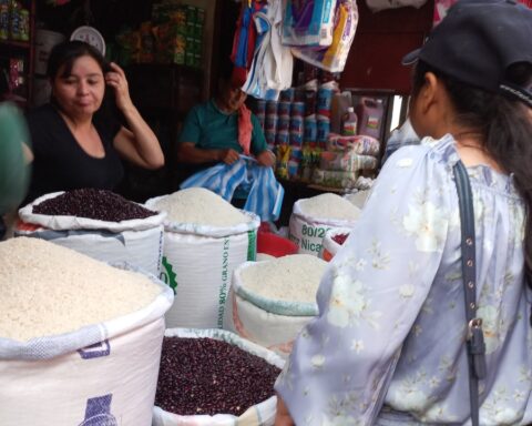 Perishables and basic grains in León, more expensive than in December
