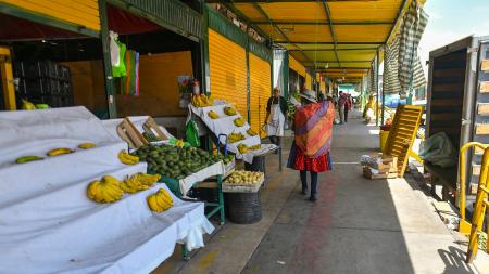 Peru: protests continue and food and fuel shortages worsen