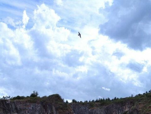 Quarries: how many are there in the country and what are the risks?