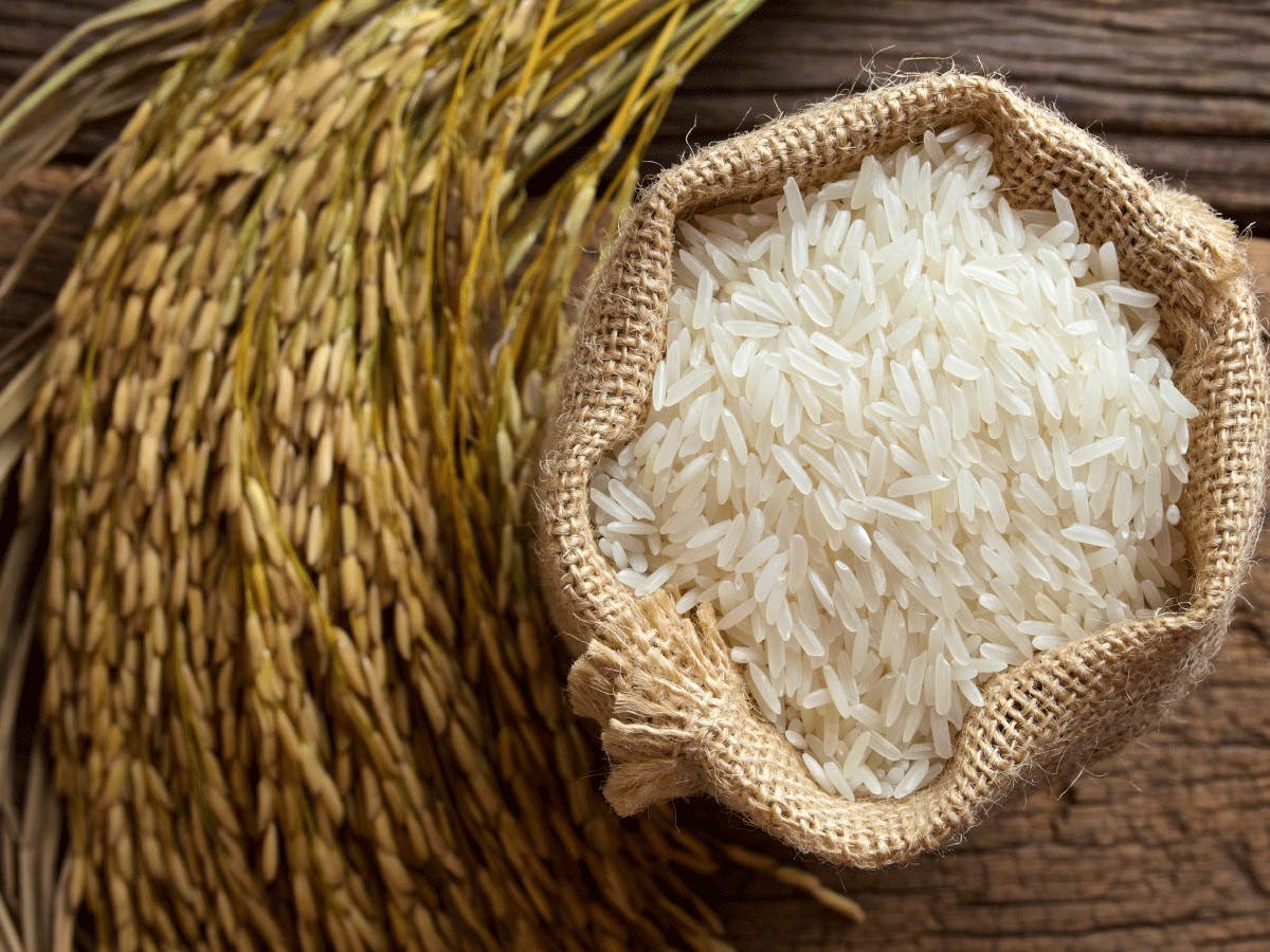 Productores de arroz van para la calle