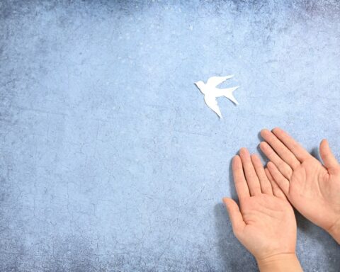 School Day of Nonviolence and Peace