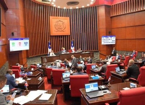 Senado aprueba en primera lectura proyecto de ley sobre régimen electoral