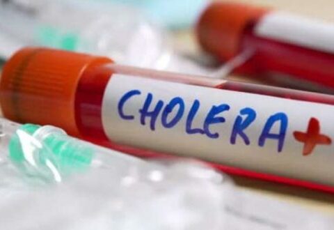 Reportan siete nuevos casos de Cólera en el país