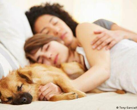 Sharing a bed with dogs could be dangerous in winter, experts warn