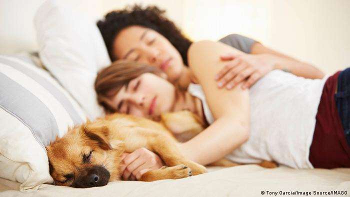 Sharing a bed with dogs could be dangerous in winter, experts warn