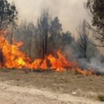 Six provinces and CABA maintain active sources of forest fires