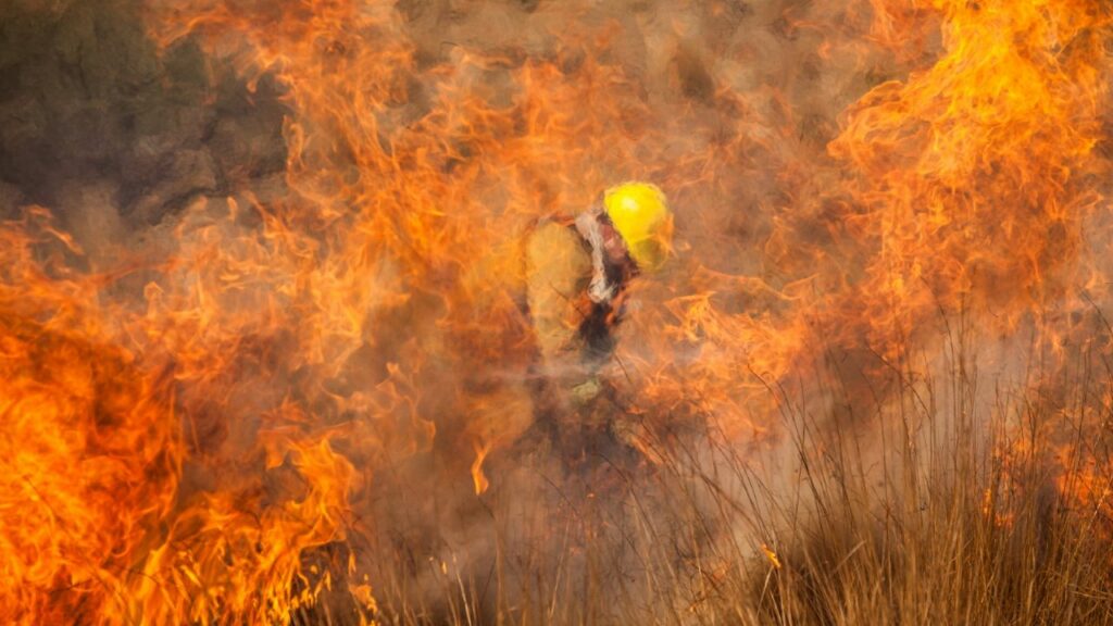 Six provinces have active sources of fires