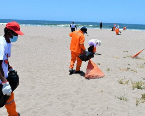 Tacna: They remove more than a ton of garbage from Los Palos beach