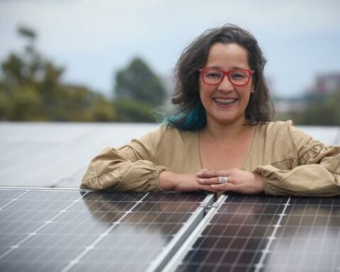 Tension with Irene Vélez would make the Vice Minister of Energy come out