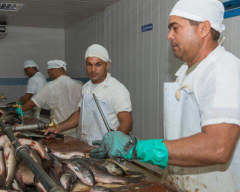 The Cuban fishing sector is facing a deep production crisis