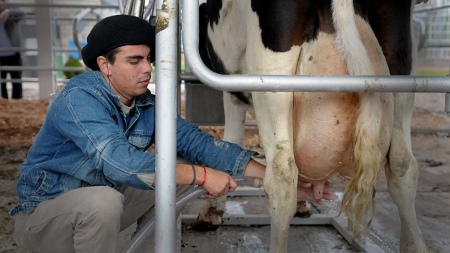 The Government announced an assistance program for 8 out of 10 dairy farmers
