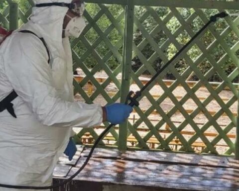 The ICA advances in the eradication of areas with avian influenza