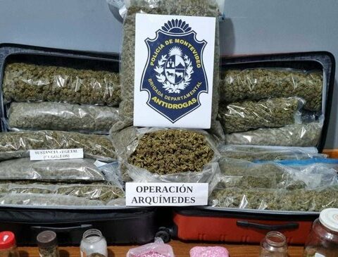 The Police arrested five young people for drug trafficking: they seized various substances and $17,150