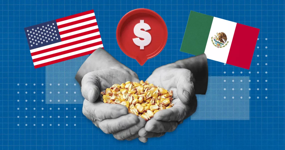 The US contemplates escalating the transgenic corn lawsuit with Mexico to the T-MEC