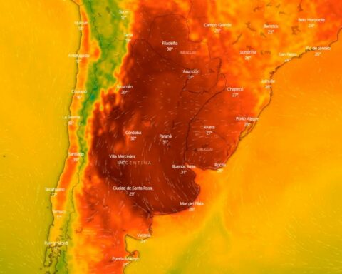 The extreme heat returns: an alert for high temperatures is in force in almost the entire country